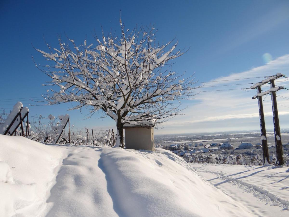 Apartamento Au Coeur Des Vignes Bergheim Exterior foto