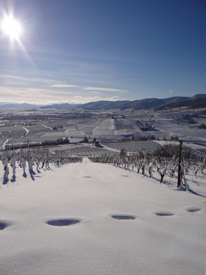 Apartamento Au Coeur Des Vignes Bergheim Exterior foto