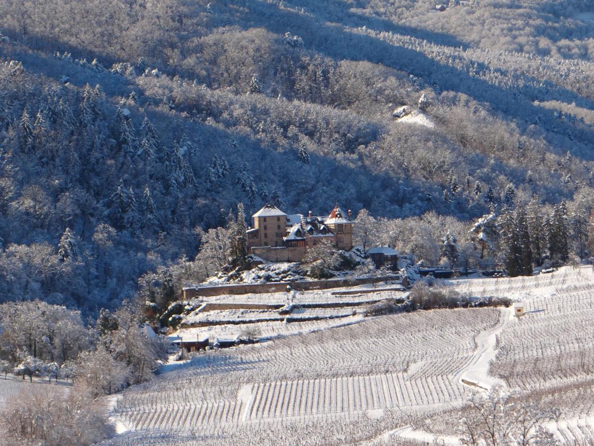 Apartamento Au Coeur Des Vignes Bergheim Exterior foto