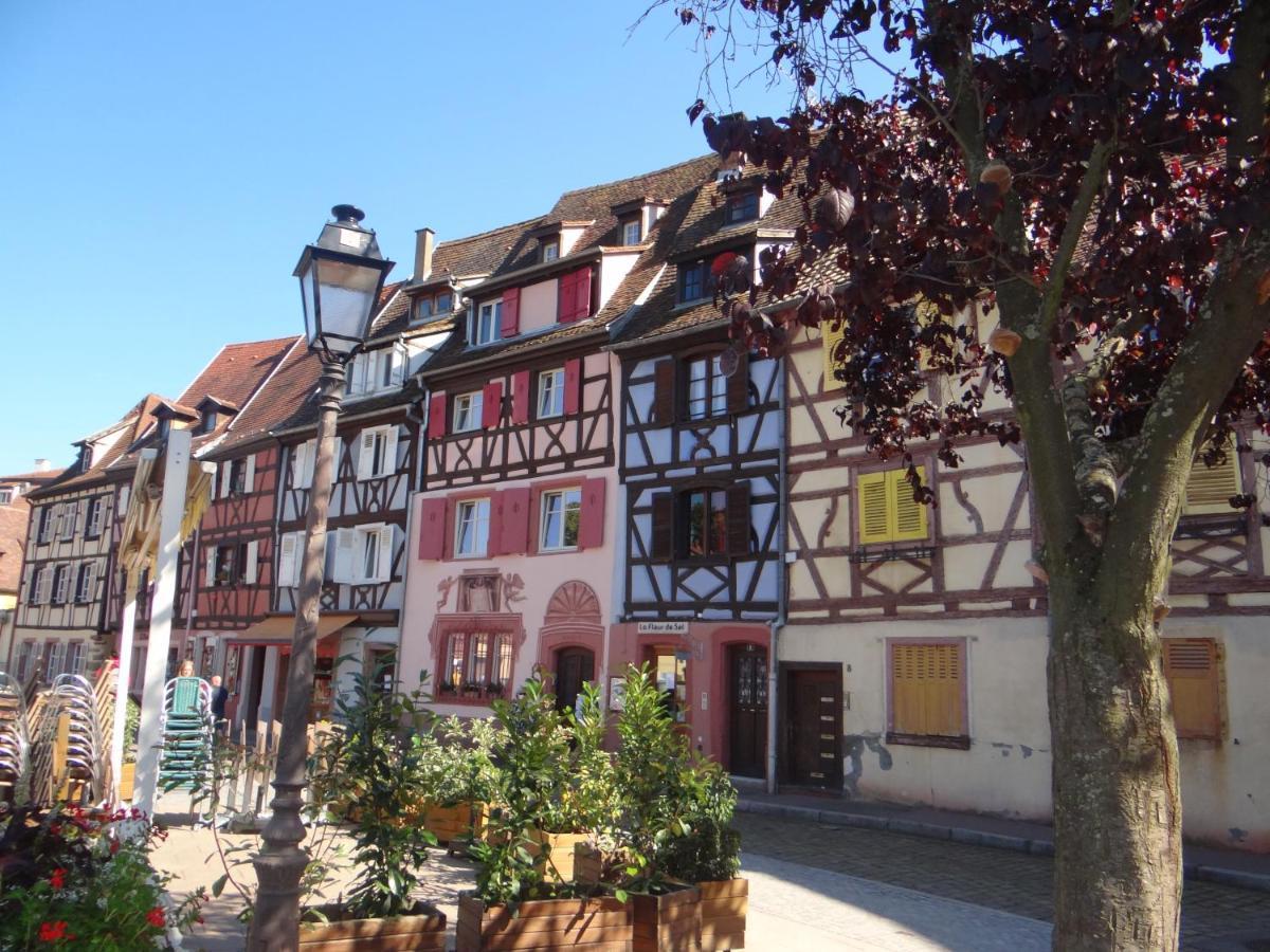 Apartamento Au Coeur Des Vignes Bergheim Exterior foto